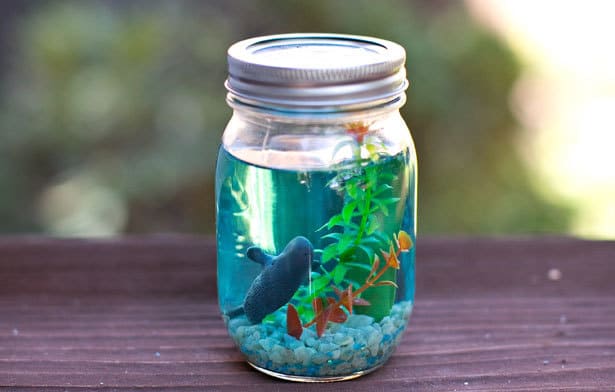 Пластилиновый аквариум