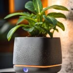 Как совместить IT и бизнес на бетонных горшках