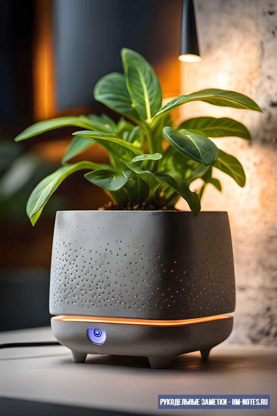 Как совместить IT и бизнес на бетонных горшках