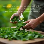 Ферментация: как создать чай с ароматом лета